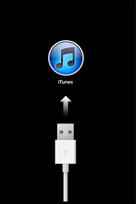 iPhone 8 Plus iTunes
