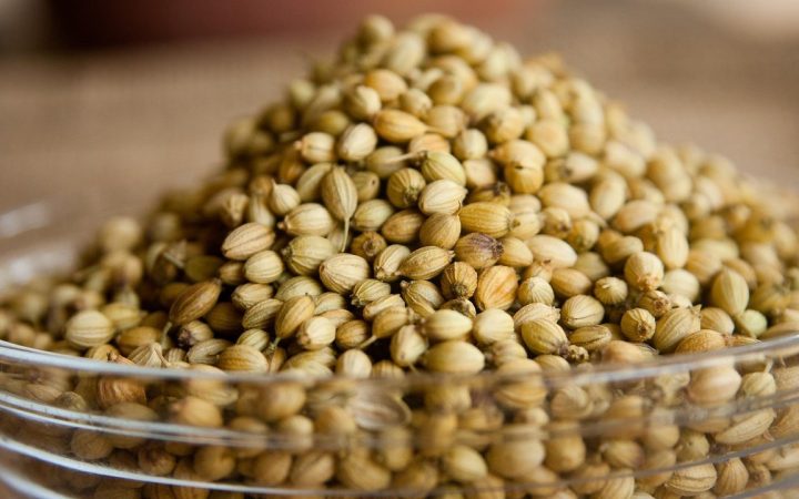 Baharat Sözlüğü: Kişniş Nedir, Faydaları ve Kullanımı