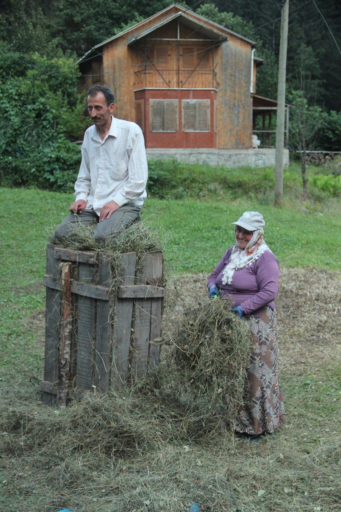 Ayder Yaylası Gezilecek Yerler: Ulaşım ve Doğa Rehberi