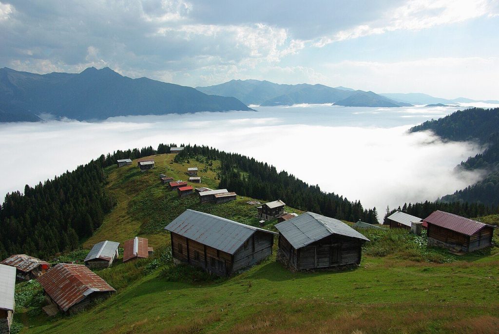 Ayder Yaylası Gezilecek Yerler: Ulaşım ve Doğa Rehberi