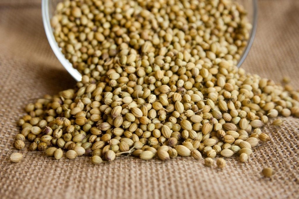 Baharat Sözlüğü: Kişniş Nedir, Faydaları ve Kullanımı
