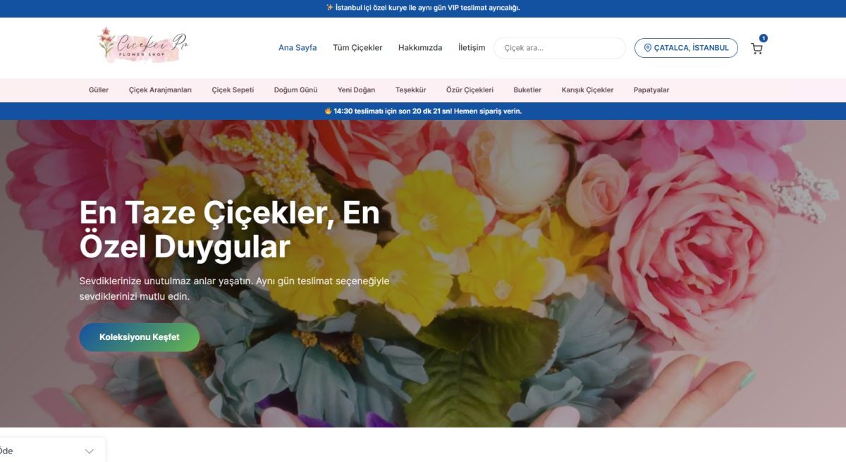 Profesyonel E-ticaret Sitesi Kurmak İçin Özel Çözümler örnek ekran