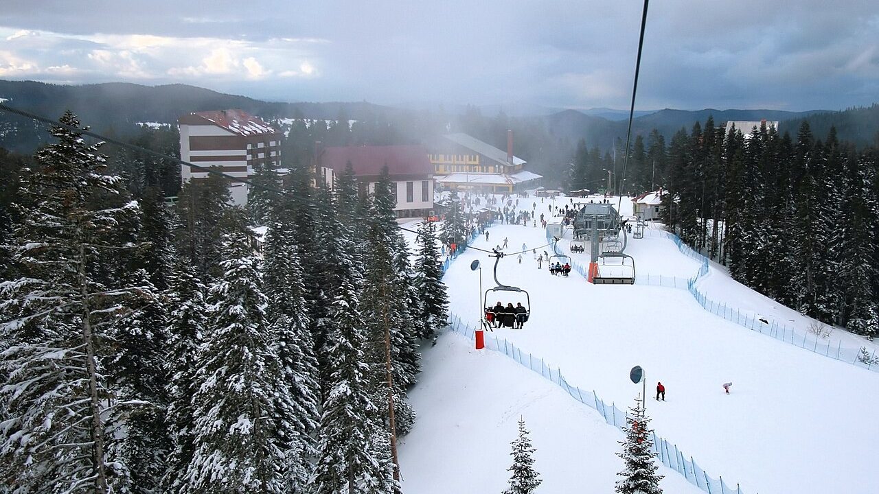 Ilgaz Dağı Milli Parkı sarıçam ormanları ve kamp alanı manzarası