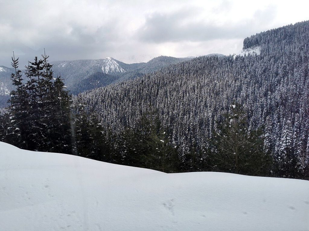 Ilgaz Dağı’nda Kamp Rehberi: Çadır Alanları ve Rotalar