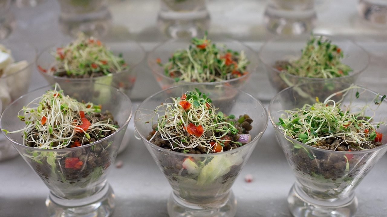 Kavanozda filizlendirilmiş yeşil mercimek ve canlı sprout taneleri