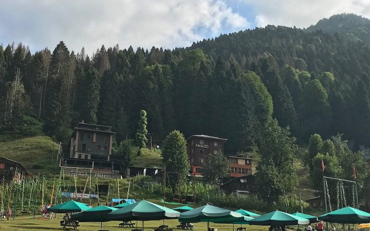 Ayder Yaylası Gezilecek Yerler: Ulaşım ve Doğa Rehberi