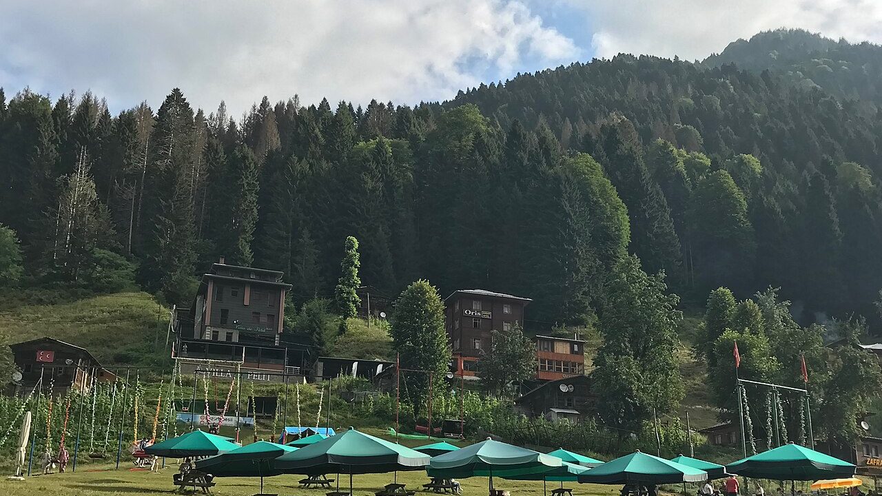 Rize Çamlıhemşin Ayder Yaylası ahşap evleri ve yemyeşil orman manzarası